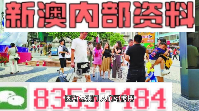 新澳2024正版免費資料，探索與揭秘