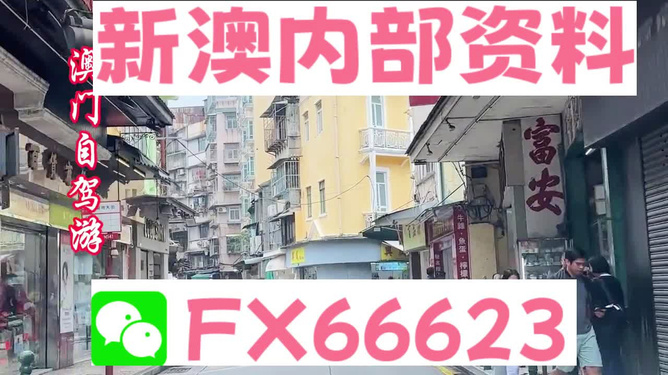 探索新澳精準(zhǔn)資料，免費(fèi)提供的網(wǎng)站有哪些？