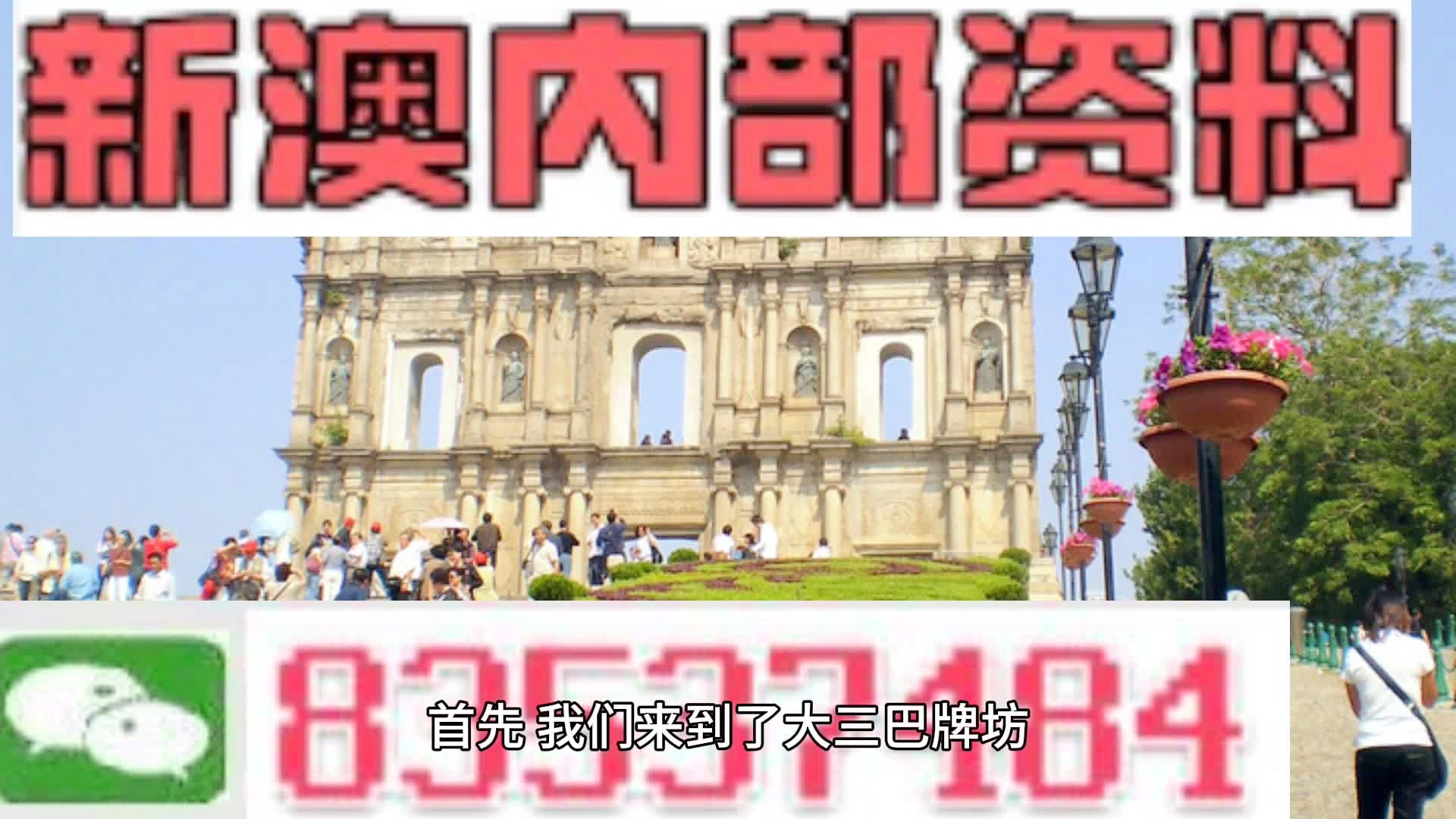 新澳2024年精準(zhǔn)一肖一碼預(yù)測與探索