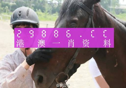 澳門最準(zhǔn)一肖一碼一碼，揭示背后的真相與警示