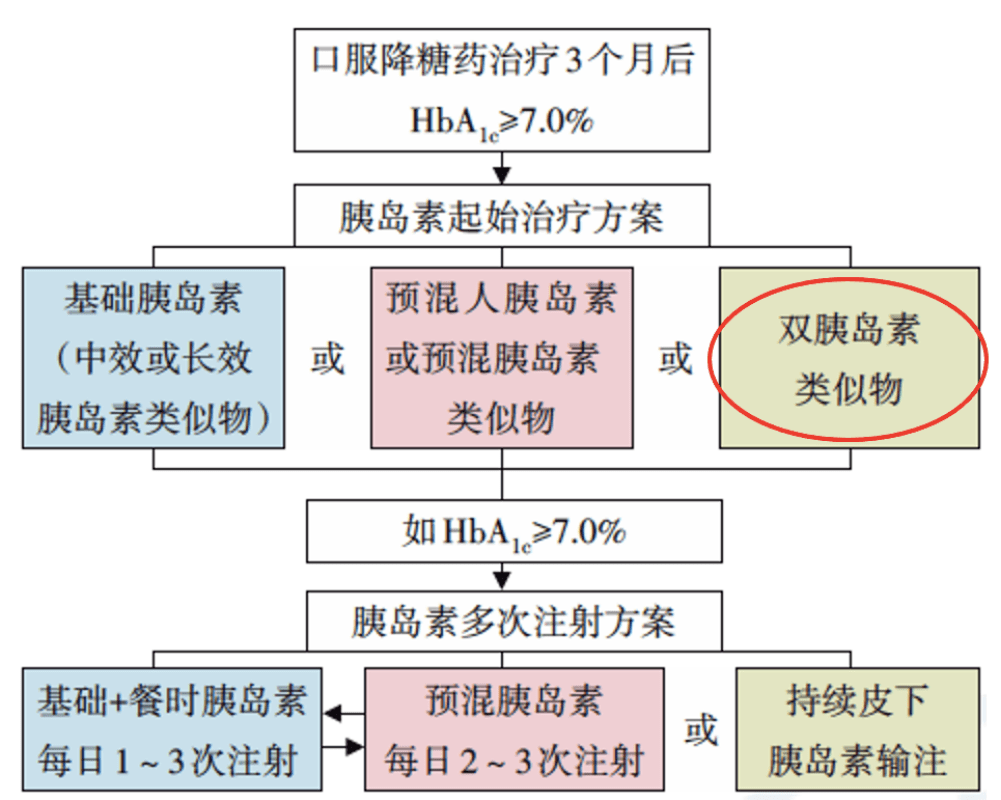 新澳門資料大全正版資料，探索與解讀