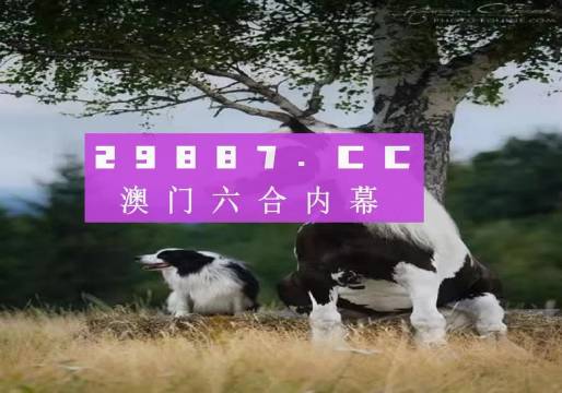 澳門跑狗圖跑狗圖，探索正版資料的深度價(jià)值（2024年展望）