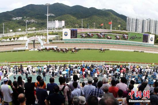 香港2024最準馬資料免費，深度解析與免費獲取途徑