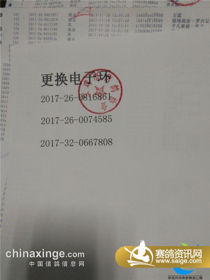 藁城信鴿協(xié)會最新公告