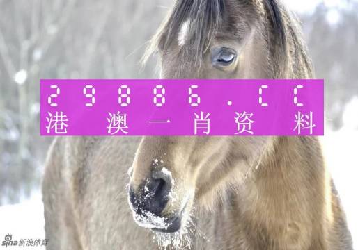 澳門精準(zhǔn)一笑一碼100%,精確分析解答解釋現(xiàn)象_領(lǐng)航款44.075