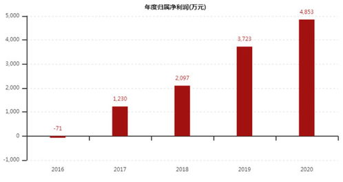 工大高新最新消息，深度解析與前景展望（600701）