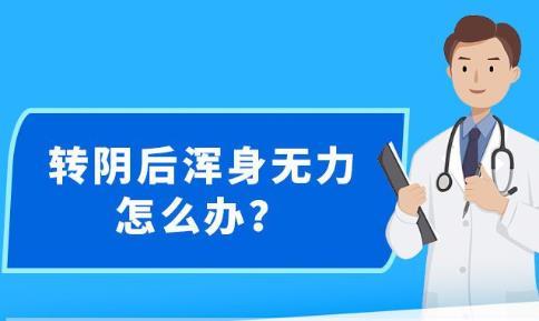 新澳精準(zhǔn)資料免費(fèi)提供，探索第265期的價值與深度