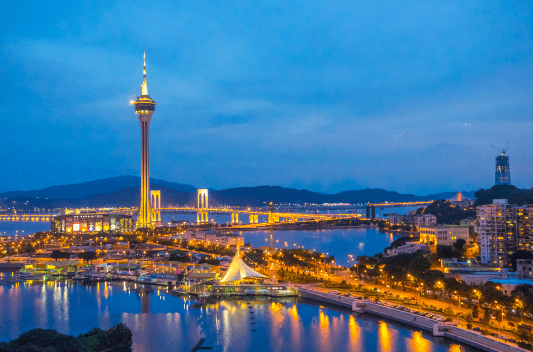 澳門100%最準(zhǔn)一肖，探尋背后的秘密與真相